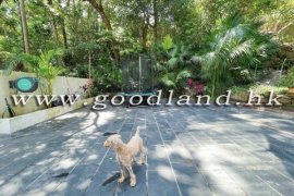 CLEAR WATER BAY Detached Garden Village House with Full Sea View For Sale