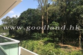 CLEAR WATER BAY Luxury Apartment For Sale with Deluxe Facilities
