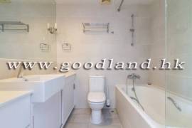 清水湾别墅 海景花园 出售及出租