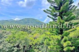 西貢獨立村屋 花園景觀開揚綠意