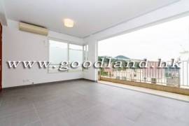 清水湾村屋出租 外籍社区