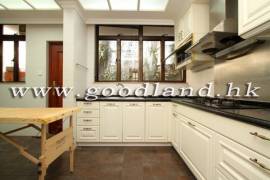 清水湾别墅出售 管理屋苑 特大花园 饱览港岛远景