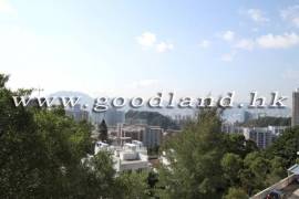 清水湾别墅出售 管理屋苑 特大花园 饱览港岛远景