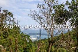 CLEAR WATER BAY Detached Village House FOR RENT