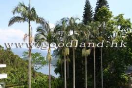 Clear Water Bay Villa For Sale