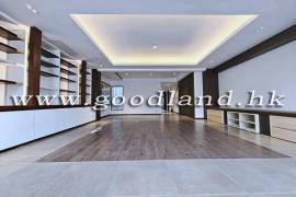 Clear Water Bay Villa For Rent