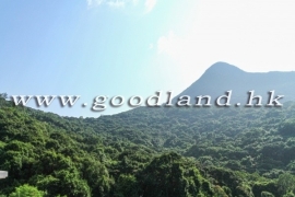 【清水灣花園村屋出售】寬敞家庭佈局・清幽環境