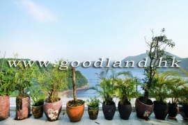 清水湾每层海景村屋出售