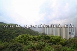 清水湾绿景城市景花园村屋出售