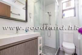 CLEAR WATER BAY | Decent 3-Bed Village House with Open Greenery View