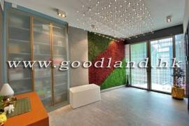 Clear Water Bay Villa For Sale