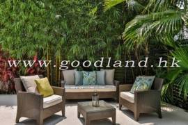 Clear Water Bay Villa For Sale