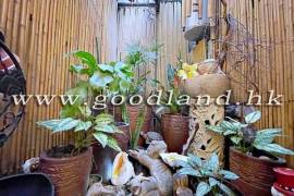 Clear Water Bay Apartment For Sale