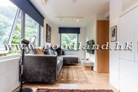 CLEAR WATER BAY Detached Sea View House with Garden For Sale