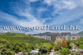 【清水灣清幽別墅出售】天台
