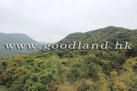 SAI KUNG Tranquil Garden Village House For Sale
