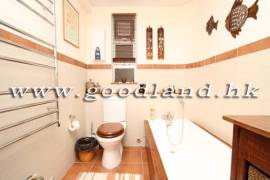 SAI KUNG Communal Pool Garden Village House For Sale