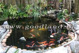 SAI KUNG Detached House For Sale | Wraparound Garden, Sea Greenery View & Pool