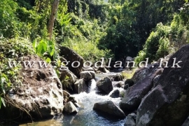 SAI KUNG Village House For Sale and Rent | Huge Garden, Renovated & 4 Bedrooms