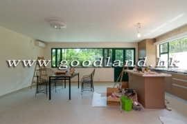 SAI KUNG Village House For Sale | Recently Renovated, New Kitchen & Greenery View